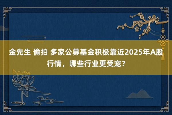 金先生 偷拍 多家公募基金积极靠近2025年A股行情，哪些行业更受宠？