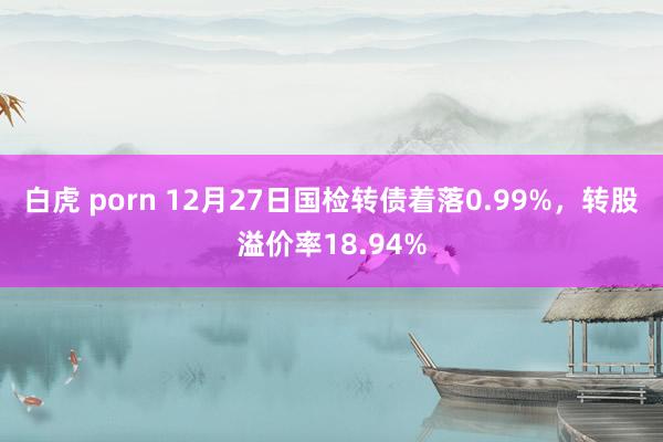 白虎 porn 12月27日国检转债着落0.99%，转股溢价率18.94%