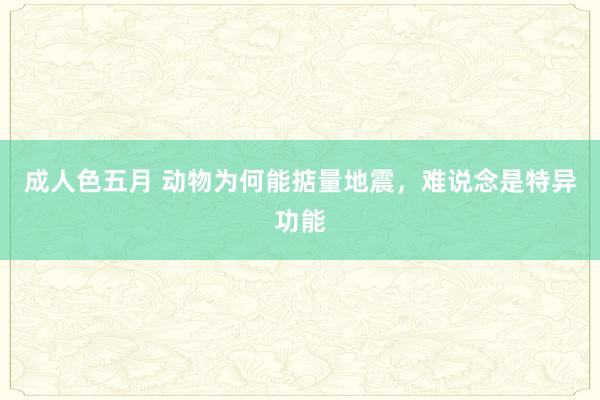 成人色五月 动物为何能掂量地震，难说念是特异功能