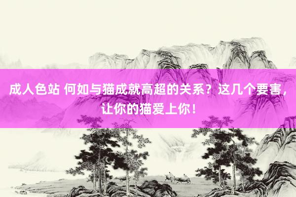 成人色站 何如与猫成就高超的关系？这几个要害，让你的猫爱上你！