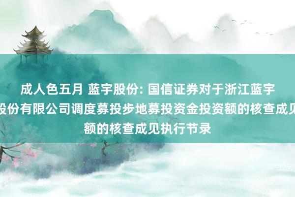 成人色五月 蓝宇股份: 国信证券对于浙江蓝宇数码科技股份有限公司调度募投步地募投资金投资额的核查成见执行节录