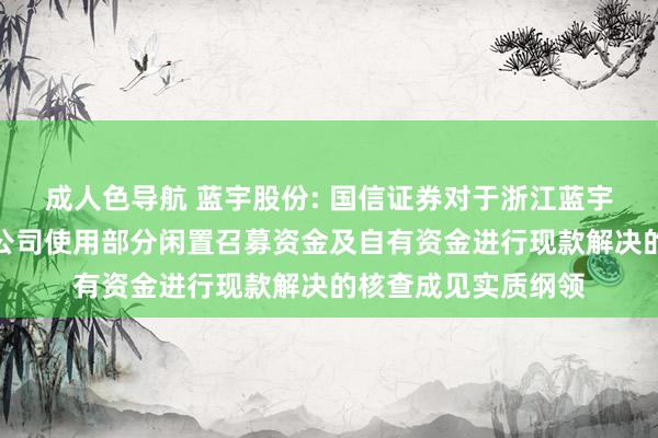 成人色导航 蓝宇股份: 国信证券对于浙江蓝宇数码科技股份有限公司使用部分闲置召募资金及自有资金进行现款解决的核查成见实质纲领