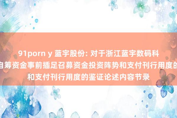 91porn y 蓝宇股份: 对于浙江蓝宇数码科技股份有限公司以自筹资金事前插足召募资金投资阵势和支付刊行用度的鉴证论述内容节录