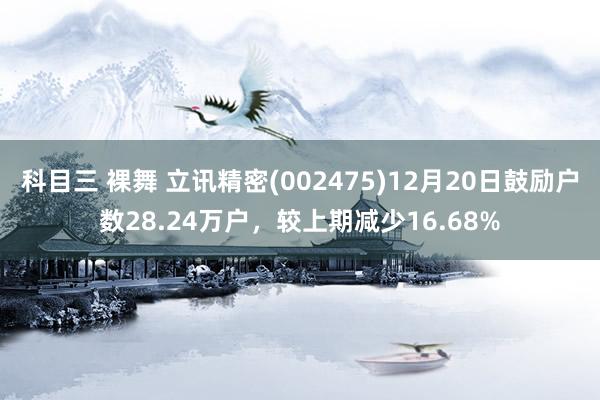 科目三 裸舞 立讯精密(002475)12月20日鼓励户数28.24万户，较上期减少16.68%