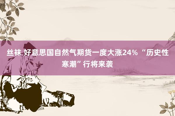 丝袜 好意思国自然气期货一度大涨24% “历史性寒潮”行将来袭