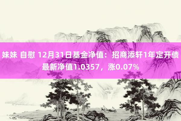 妹妹 自慰 12月31日基金净值：招商添轩1年定开债最新净值1.0357，涨0.07%