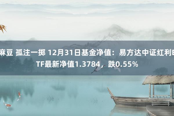 麻豆 孤注一掷 12月31日基金净值：易方达中证红利ETF最新净值1.3784，跌0.55%