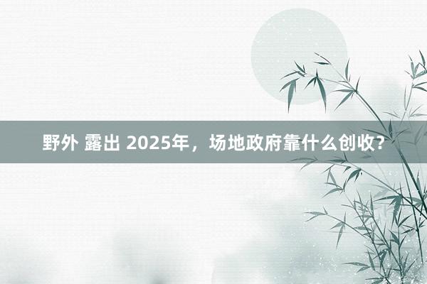 野外 露出 2025年，场地政府靠什么创收？