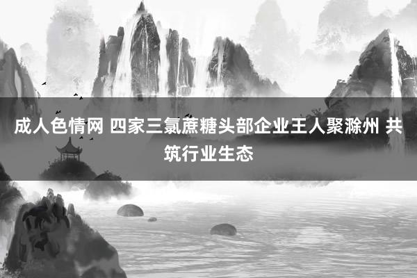 成人色情网 四家三氯蔗糖头部企业王人聚滁州 共筑行业生态