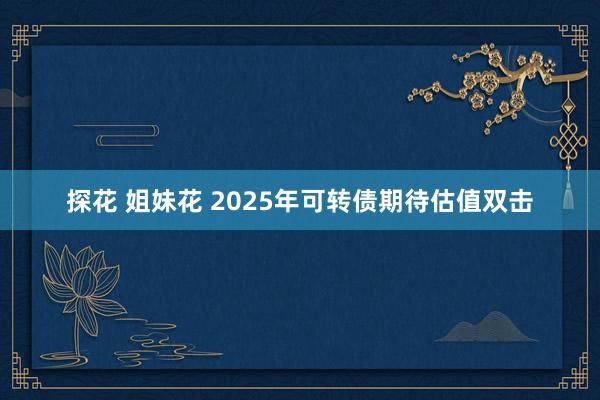 探花 姐妹花 2025年可转债期待估值双击