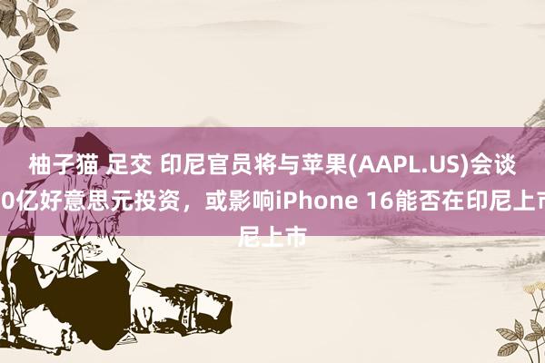 柚子猫 足交 印尼官员将与苹果(AAPL.US)会谈10亿好意思元投资，或影响iPhone 16能否在印尼上市