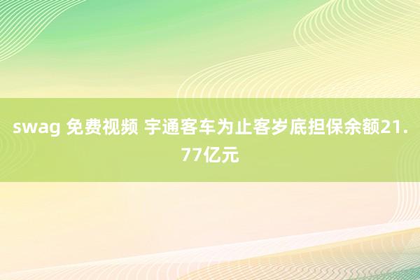 swag 免费视频 宇通客车为止客岁底担保余额21.77亿元