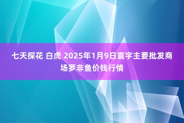 七天探花 白虎 2025年1月9日寰宇主要批发商场罗非鱼价钱行情