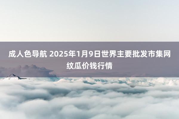 成人色导航 2025年1月9日世界主要批发市集网纹瓜价钱行情