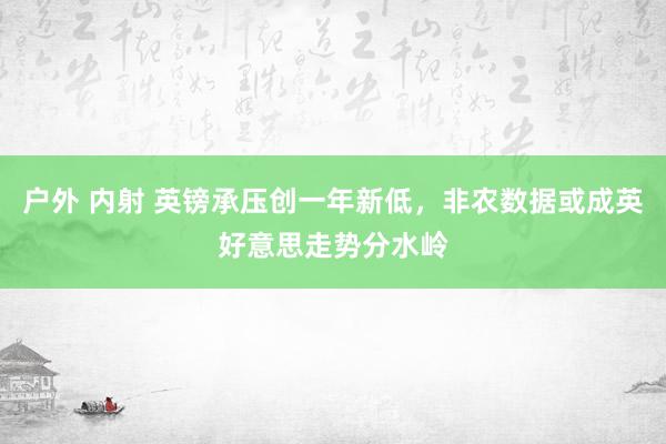 户外 内射 英镑承压创一年新低，非农数据或成英好意思走势分水岭