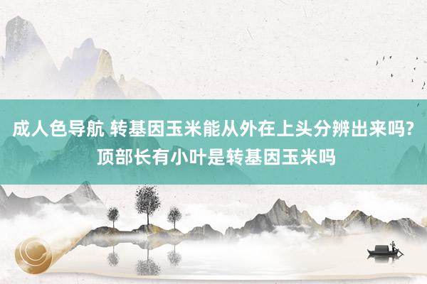 成人色导航 转基因玉米能从外在上头分辨出来吗? 顶部长有小叶是转基因玉米吗