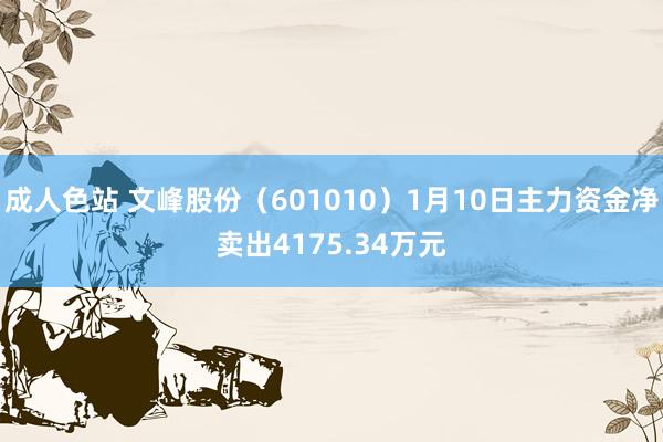 成人色站 文峰股份（601010）1月10日主力资金净卖出4175.34万元