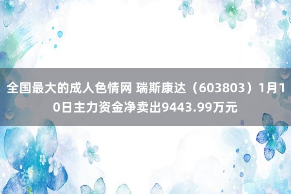 全国最大的成人色情网 瑞斯康达（603803）1月10日主力资金净卖出9443.99万元