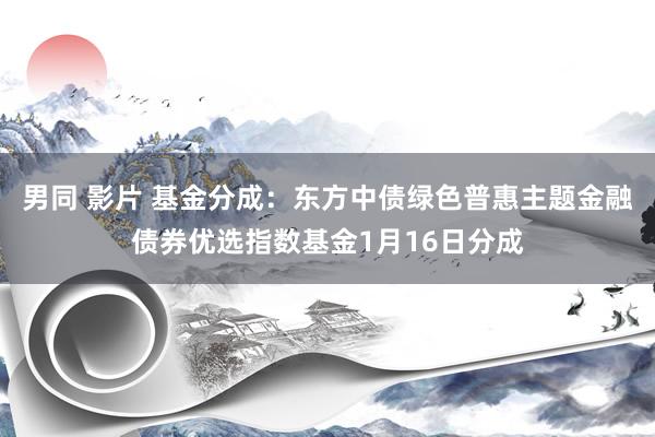 男同 影片 基金分成：东方中债绿色普惠主题金融债券优选指数基金1月16日分成