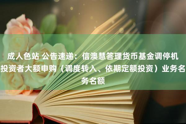 成人色站 公告速递：信澳慧答理货币基金调停机构投资者大额申购（调度转入、依期定额投资）业务名额