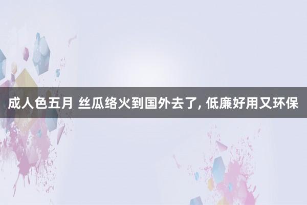 成人色五月 丝瓜络火到国外去了， 低廉好用又环保