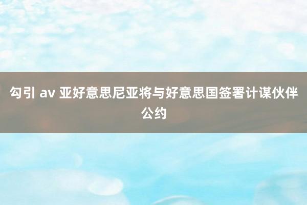 勾引 av 亚好意思尼亚将与好意思国签署计谋伙伴公约