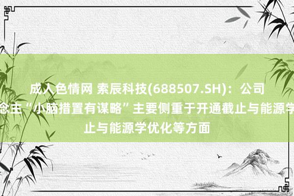 成人色情网 索辰科技(688507.SH)：公司的机器东说念主“小脑措置有谋略”主要侧重于开通截止与能源学优化等方面