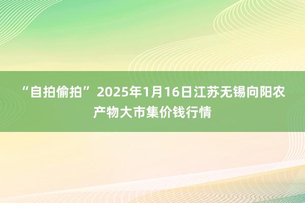 “自拍偷拍” 2025年1月16日江苏无锡向阳农产物大市集价钱行情