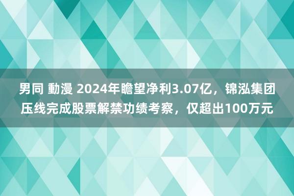 男同 動漫 2024年瞻望净利3.07亿，锦泓集团压线完成股票解禁功绩考察，仅超出100万元